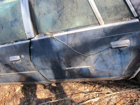 1991 Ford LTD Crown Victoria - A side view of a dark blue sedan's door and window, covered in dust and debris.
