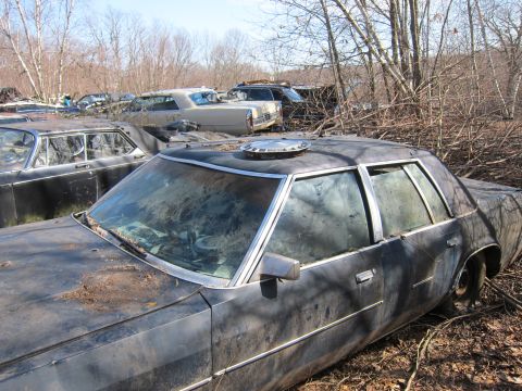 1991 Ford LTD Crown Victoria - Several vehicles sit in a junkyard under a clear sky, with trees and branches surrounding them.