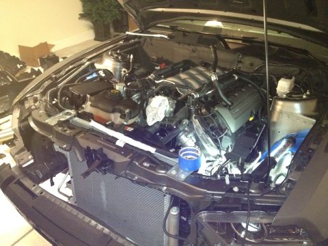 2013 Ford Mustang - Engine bay of a 2013 Ford Mustang, with the hood fully open for access to the engine.