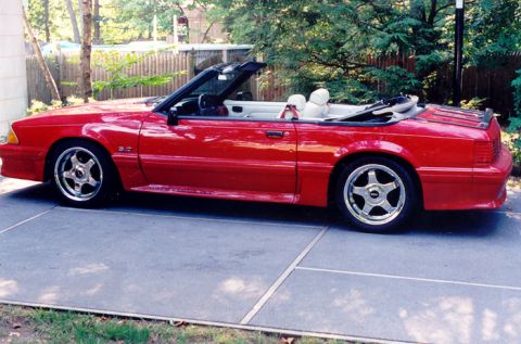 1992 Ford Crown Victoria - Nice Picture