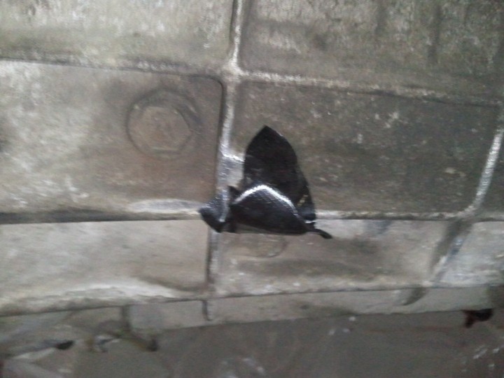 Transmission housing with a black object attached