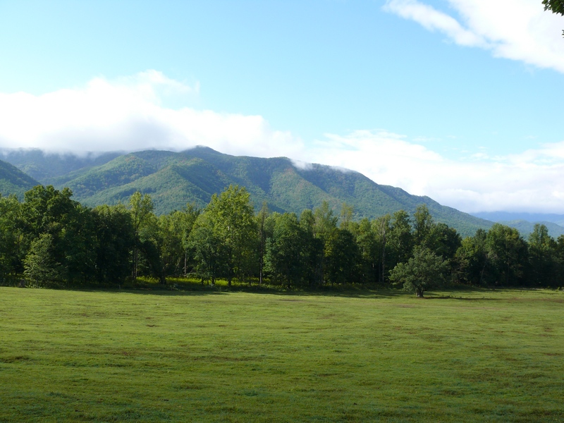 Green field with trees and mountains in the background under a cloudy sky
