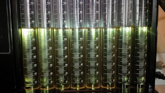 Eight graduated cylinders filled with yellow liquid, showing measurements from 0 to 100