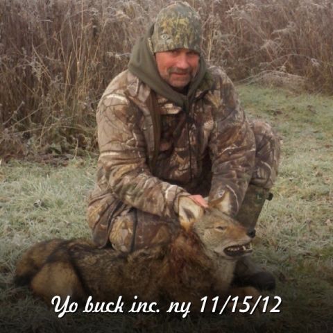 2007 Wellcraft 200 LT Fisherman - Hunter with coyote in a field, text reads 'Yo buck inc. ny 11/15/12'.
