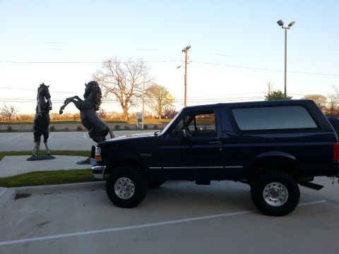 1995 Ford Bronco - Side view of a dark blue 1995 Ford Bronco parked next to two horse sculptures.