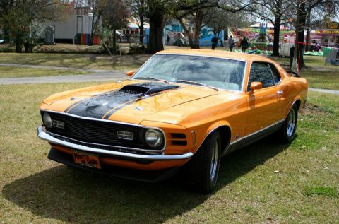 1980 Ford Mustang - This classic muscle car is parked on a grassy lawn with trees and carnival rides in the background.