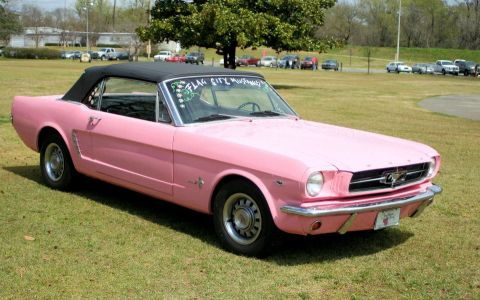 1980 Ford Mustang - A pink convertible with a black top is parked on a grassy field.
