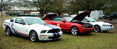 1980 Ford Mustang - Three Ford Mustangs are parked on a grassy field with trees in the background.