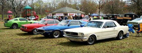 1980 Ford Mustang - Several classic Ford Mustangs are parked on a grassy field near a playground.