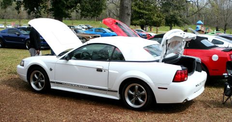 1980 Ford Mustang - A white convertible Mustang is displayed with its hood and trunk open, surrounded by other vehicles.