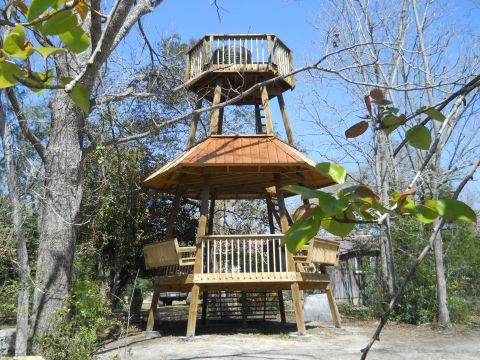 1992 Ford Bronco - A multi-level wooden observation tower stands amidst trees, with a vehicle partially visible beneath its structure.