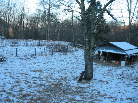 1992 Ford Bronco - A winter scene shows a rustic shed and a bare tree in a snow-covered field.
