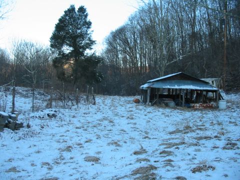 1992 Ford Bronco - A snowy landscape surrounds an old shed filled with various items, under a bare tree canopy.
