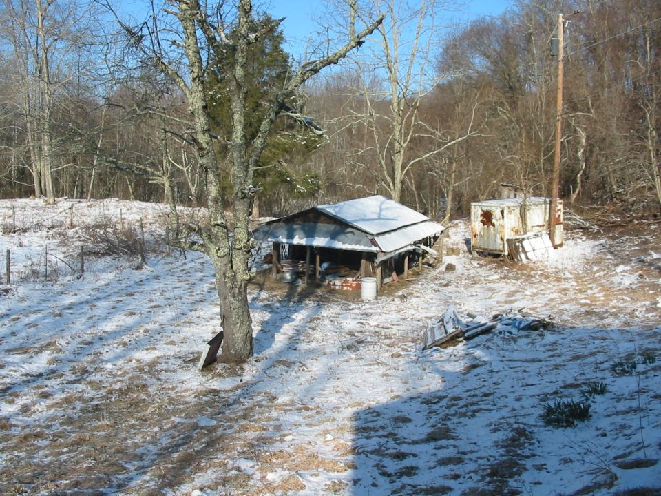 Rural scene with snow, trees, and a dilapidated barn