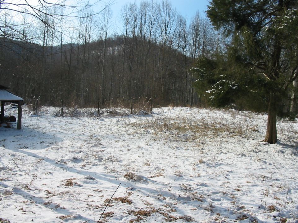 Snowy landscape with trees and a small shelter on the left