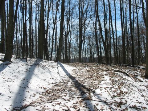 1992 Ford Bronco - A winter scene shows a path winding through a forest with snow on the ground and bare trees against a blue sky.