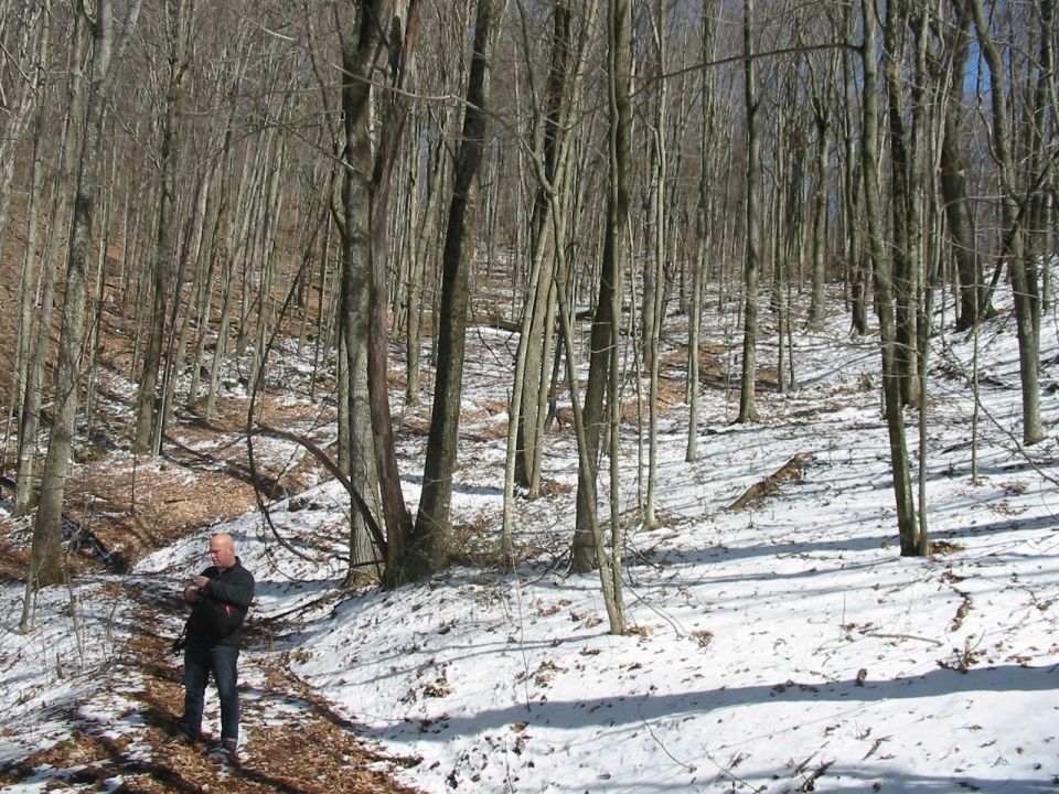 Man stands on a path covered in snow and fallen leaves, surrounded by bare trees