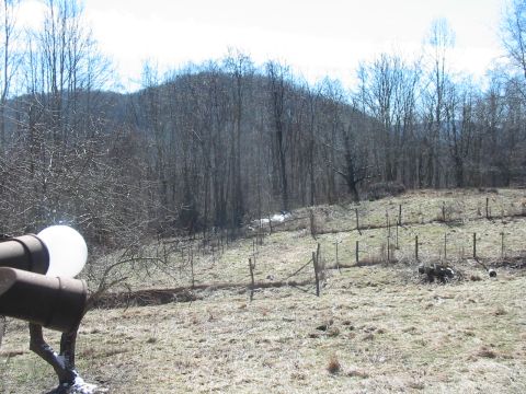 1992 Ford Bronco - A rural landscape scene with a hill covered in bare trees and a fence line.