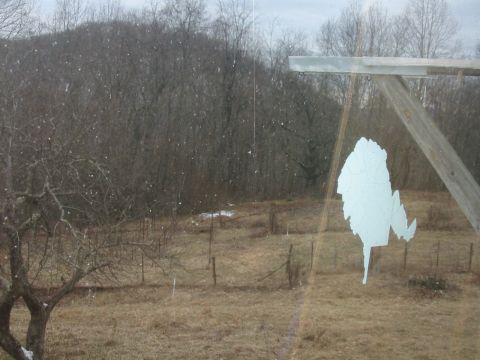 1992 Ford Bronco - Winter landscape with a sticker of Maine on a window, Supermotors.net logo in the corner.