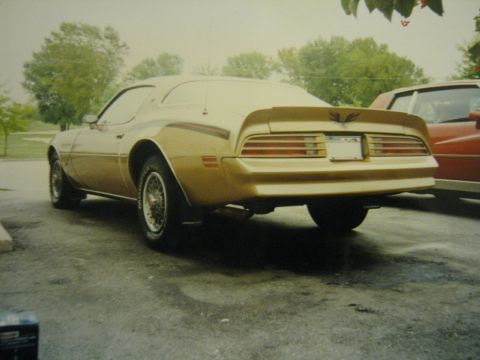 1977 Pontiac Firebird photo