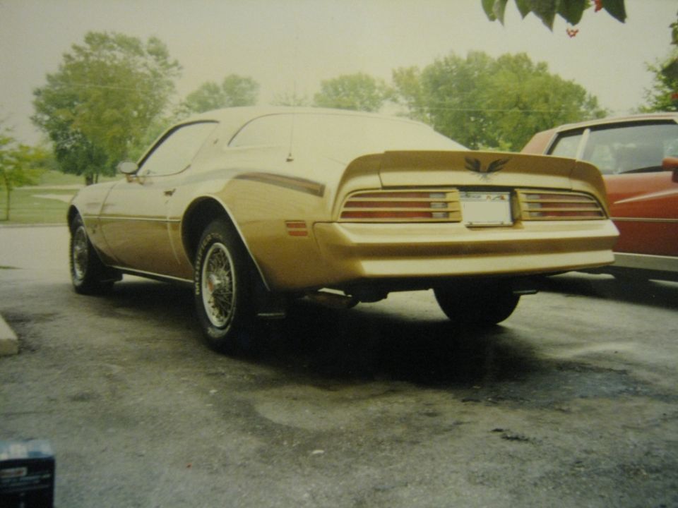 Gold 1977 Pontiac Firebird rear view, parked next to a red car