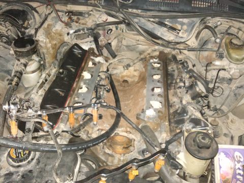 1998 Ford Crown Victoria - Close-up view of an engine bay, showing fuel injectors and the intake manifold removed.