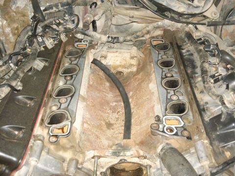 1998 Ford Crown Victoria - Close-up view of an engine's intake manifold during a repair or maintenance procedure.