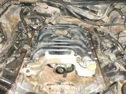 1998 Ford Crown Victoria - Close-up view of an engine's intake manifold, showing associated hoses and wiring.