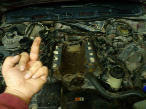 1998 Ford Crown Victoria - A hand gives the middle finger in front of the engine bay of a 1998 Ford Crown Victoria.