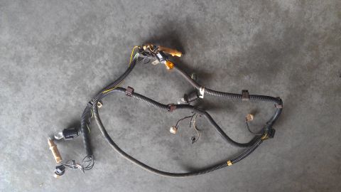 1973 Chevrolet Camaro - This is a wiring harness with multiple connectors and bulb sockets, likely for automotive use.