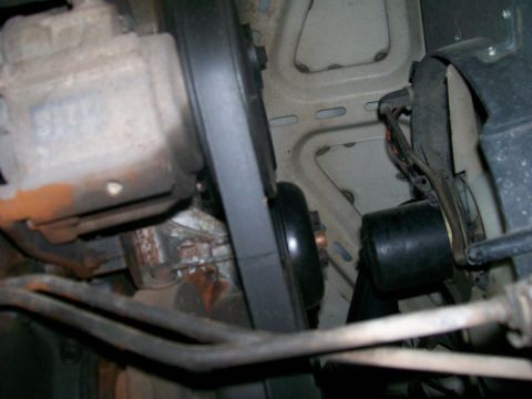 1990 Ford F-150 - Under side of the engine bay. Top left is the smog pump, center is the water pump, and you can also see the transmission cooler lines,