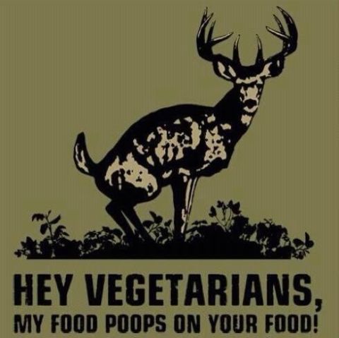 2007 Wellcraft 200 LT Fisherman - Graphic of a deer with text that reads "HEY VEGETARIANS, MY FOOD POOPS ON Y".