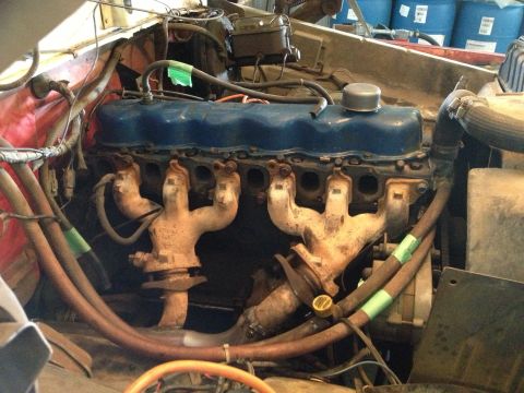 1979 Ford Bronco - Engine bay detail showing exhaust manifolds and valve covers of a V8 engine.