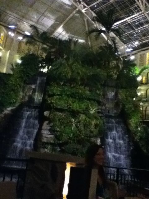 2006 Ford E350 - An indoor tropical scene features cascading waterfalls and dense foliage beneath a vast atrium roof.