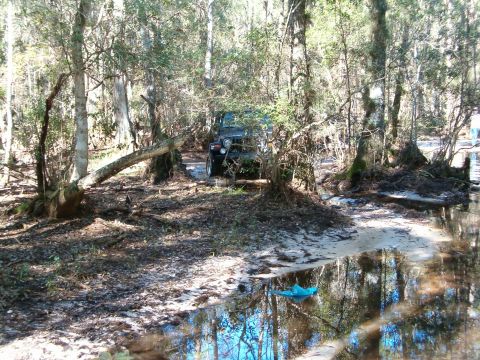 1991 Ford Bronco - A Jeep Wrangler navigates a muddy trail surrounded by trees and water.