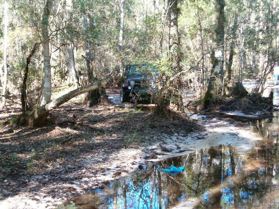 Jeep Wrangler driving through muddy woods with fallen tree