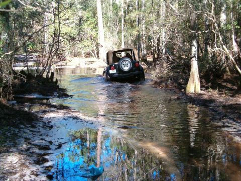 1991 Ford Bronco - A Jeep Wrangler navigates a water crossing in a wooded swampy area.