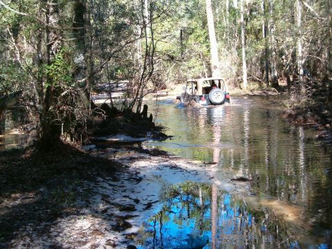 1991 Ford Bronco - A Jeep Wrangler navigates through a water crossing surrounded by trees and vegetation.