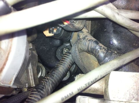1990 Ford F-150 - Close-up view of an engine coolant sender, showing associated wiring and coolant lines.