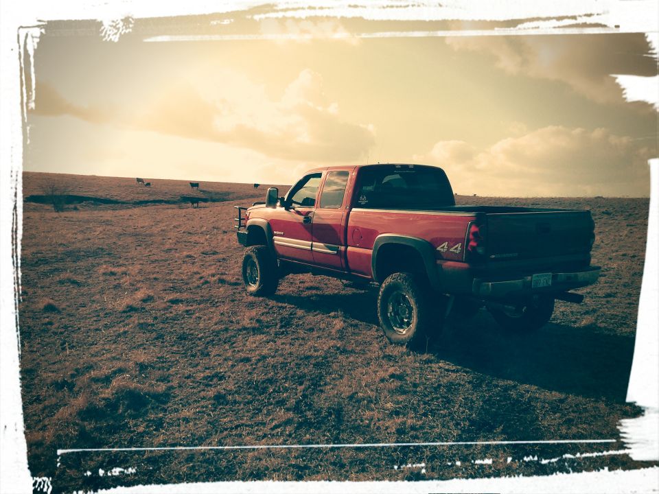 Red pickup truck with 44 badging parked in a dry, grassy field with cows in the distance