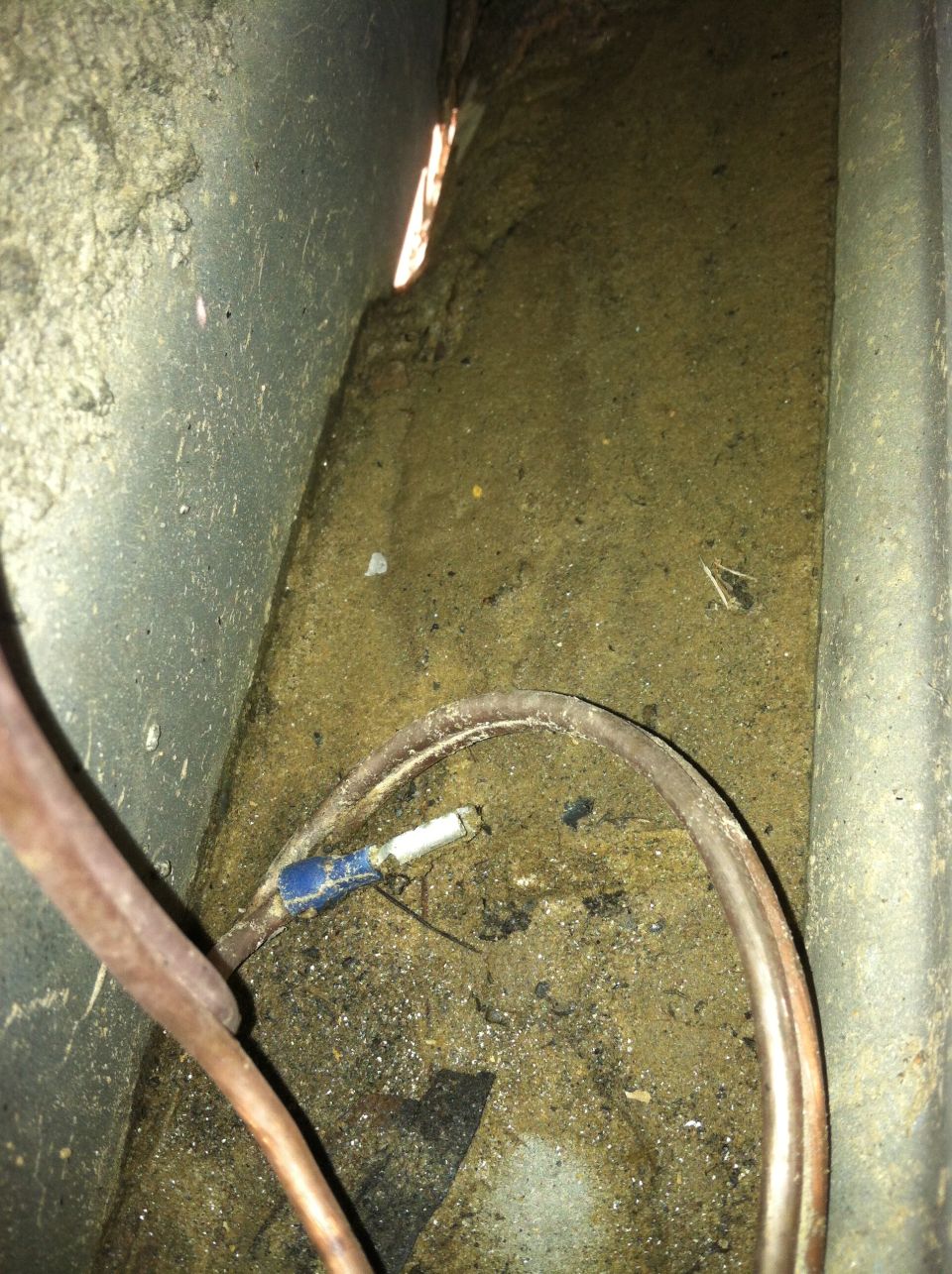 Wiring and debris in a dirty compartment