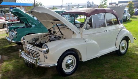 1969 MINI Cooper - Several classic cars, including a cream Morris Minor convertible, are displayed outdoors with hoods open.