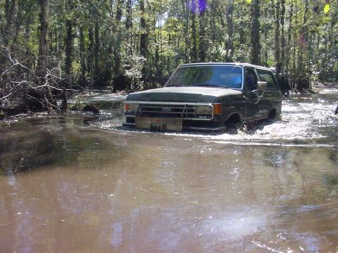 1991 Ford Bronco - Ford Bronco navigating a water obstacle in a forest setting.
