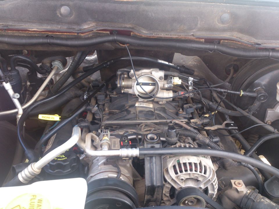 Engine bay with throttle body and alternator visible
