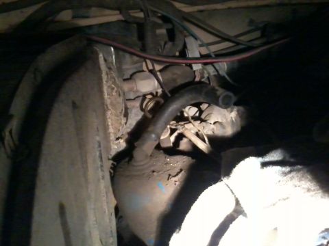 1978 Ford Bronco - Close-up view of the engine compartment, showing various hoses and electrical wiring.