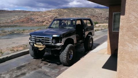 1994 Ford Bronco - This 1994 Ford Bronco features a lifted suspension and a custom front bumper with a winch, parked in a scenic outdoor location.