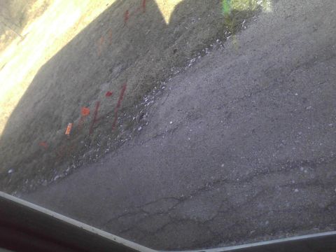 2003 Ford Crown Victoria - The shadow of a vehicle falls across a grassy area marked with orange paint, adjacent to a paved road.