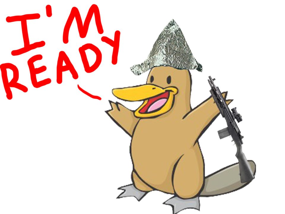 Cartoon platypus wearing a tin foil hat and holding a rifle, with text 'I'M READY' above it