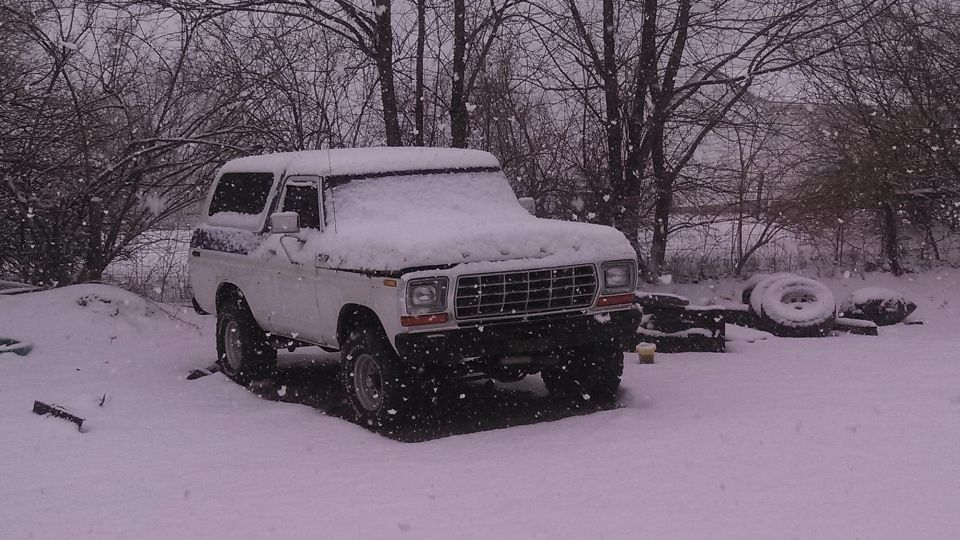 1979 Ford Bronco