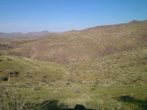 1981 Ford F-150 - A wide view of a dry, hilly terrain with sparse vegetation and a clear blue sky overhead.